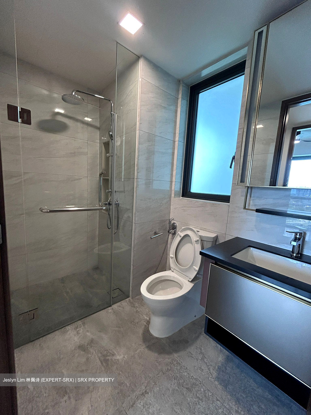 Normanton Park (D5), Apartment #551650211